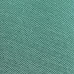 Caribbean Green